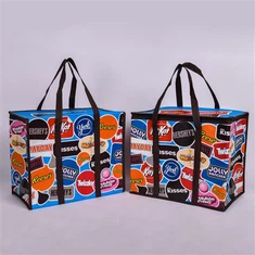 Personlige kjøligere poser